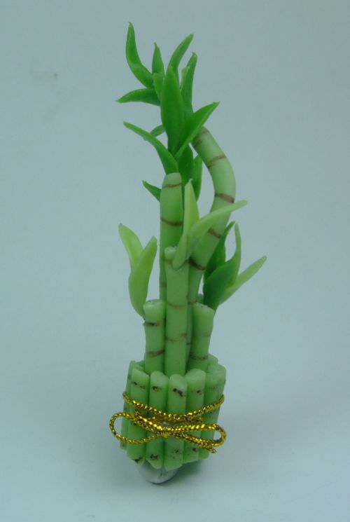 Flower & Stamen etc. | Lucky Bamboo (S) - stem