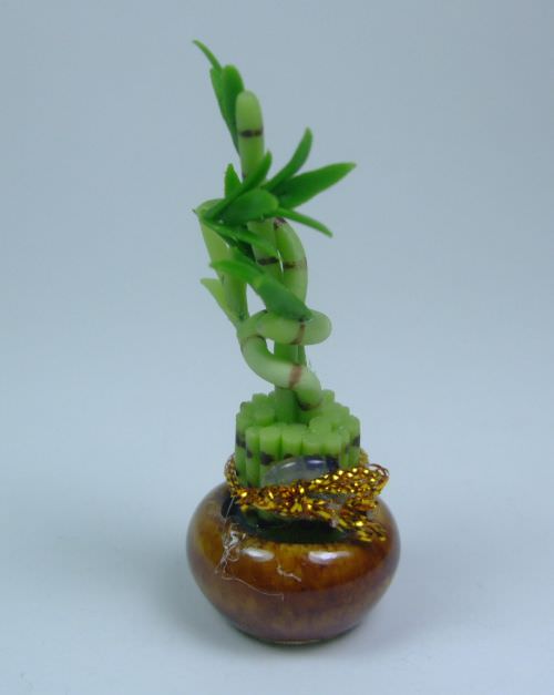 Flower & Stamen etc. | Lucky Bamboo (mini)