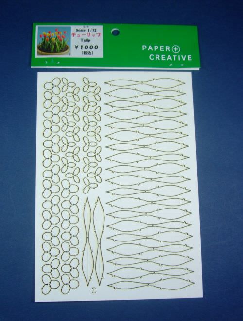 Display/Gift Box & Paper | Paper Plant Kit - Tulip
