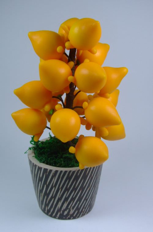 Flower & Stamen etc. | 5-Generation (L) - 18 fruits Dia 2.2cm 