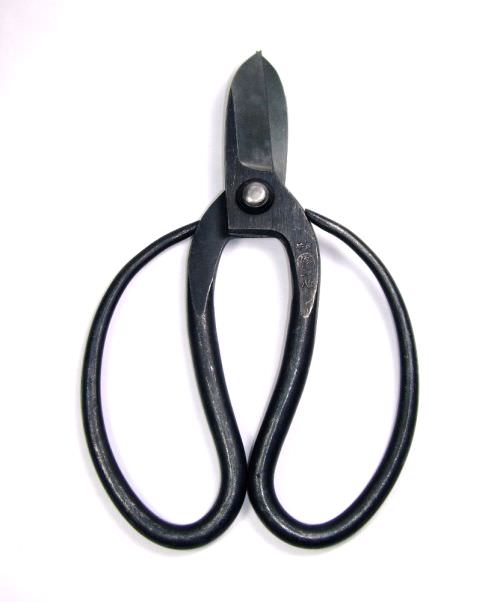 Scissors, Stick & Tool | Scissors, Professional Floral